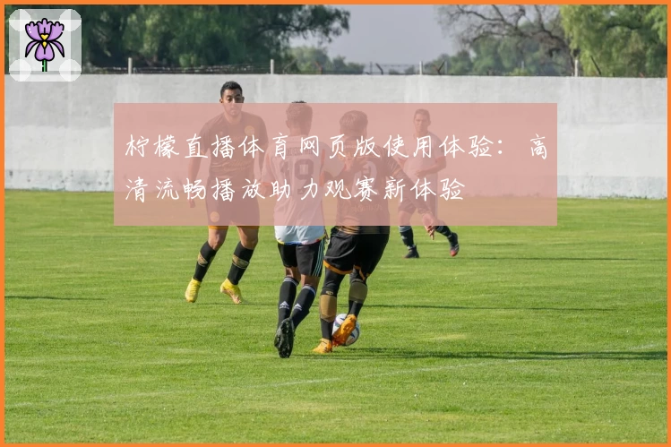 柠檬直播体育网页版使用体验:高清流畅播放助力观赛新体验